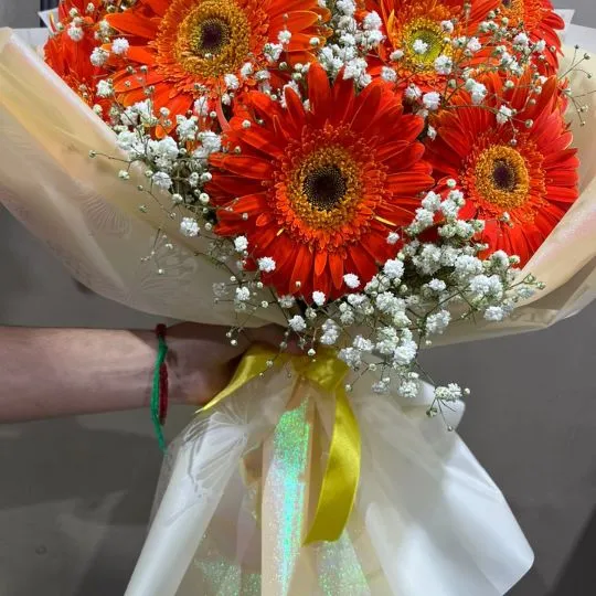 Ramo de 12 flores gerberas con isofilas y papel coreano